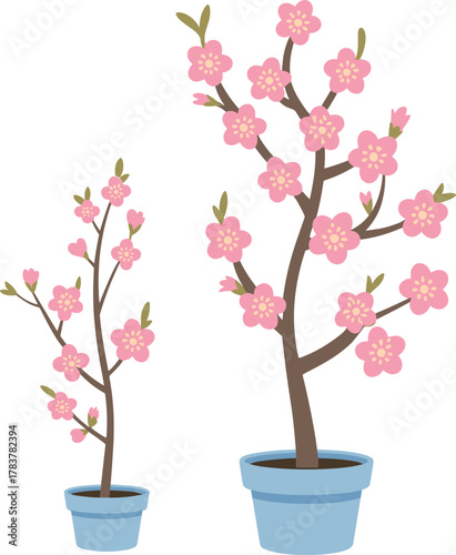 Potted flowering plant set, pink blossoms, green leaves, growth comparison, home decor, garden illustration, botanical design, nature concept, vector art