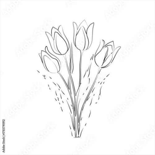 Line Art Bouquet of Tulips. Black and White Tulip Line Art Illustration. Simple Floral Outline of Tulip Blossom Vector Art