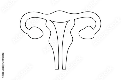 Modern one line uterus and ovary anatomy minimalist drawing