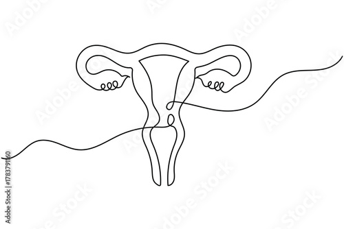 Modern one line uterus and ovary anatomy minimalist drawing