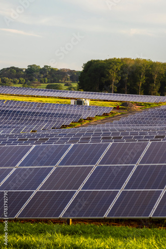 Solar farm in Brazil. Solar power for green energy. Sustainable renewable energy. Photovoltaic power station or solar park. Solar panel installation and maintenance concept. Energy sustainability.
