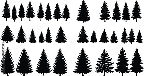 Collection of pine tree silhouettes, evergreen forest illustration, black and white conifer trees vector set, natural woodland design elements for decoration, logo, background