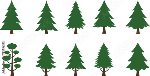 Collection of pine trees, spruce, fir tree illustrations, forest elements, evergreen coniferous plants, nature design, Christmas tree vector set, woodland silhouettes