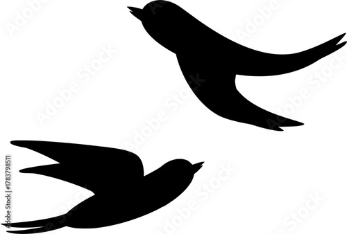 silhouette of a bird