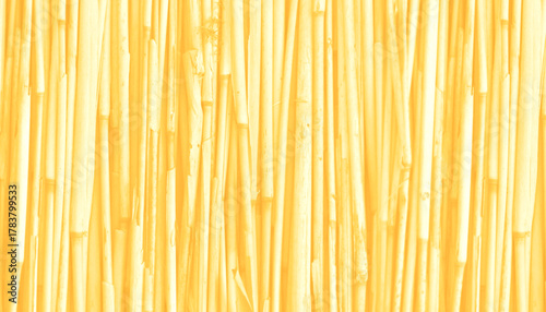 Abstract pristine white textured background with delicate natural patterns, resembling fresh snow or soft clouds, creating a serene backdrop with a gentle gradient light