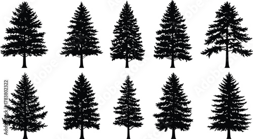 Collection of pine tree silhouettes, evergreen forest vector illustration, black conifer tree set for nature, landscape, and Christmas holiday design elements