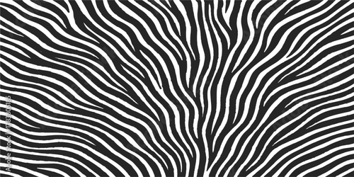 Seamless black and white zebra skin texture pattern for animal print decoration illustration