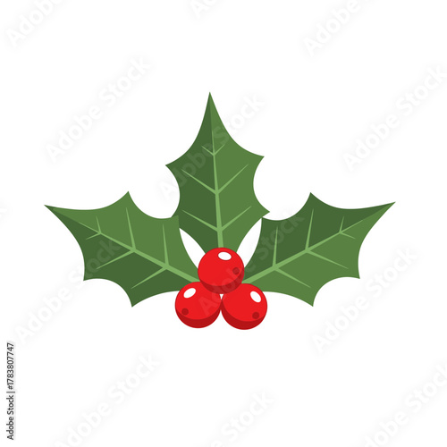 Christmas Holly Leaves and Red Berries Festive Decoration Illustration