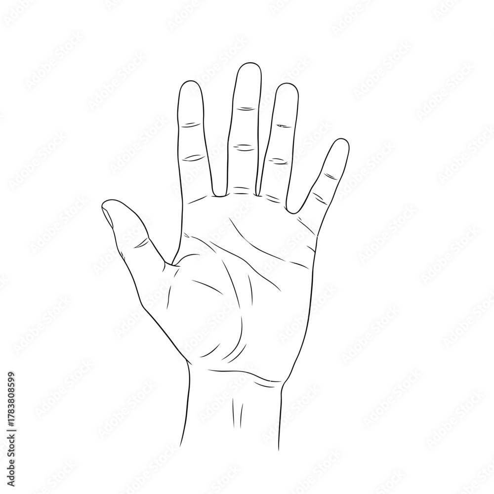 Obraz premium Open Human Hand Palm Silhouette — Gesture Symbol, Line Art Illustration, Anatomy Outline Design