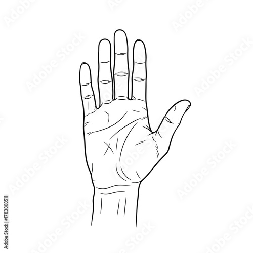 Open Human Hand Palm Silhouette — Gesture Symbol, Line Art Illustration, Anatomy Outline Design