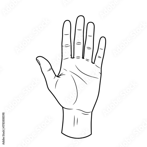 Open Human Hand Palm Silhouette — Gesture Symbol, Line Art Illustration, Anatomy Outline Design