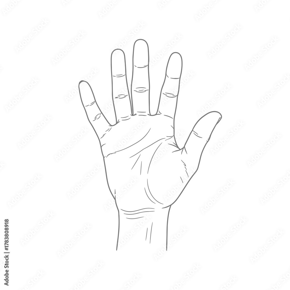 Obraz premium Open Human Hand Palm Silhouette — Gesture Symbol, Line Art Illustration, Anatomy Outline Design