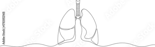 Lung anatomy and respiratory health illustration vector