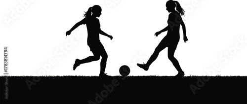 Silhouette of two women playing soccer on grass field, football training activity, teamwork sports concept vector illustration, outdoor exercise design