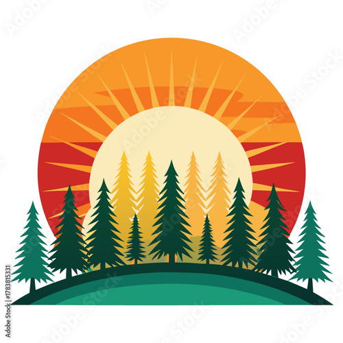 sun rising over forest