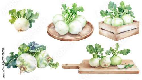 Captivating Still Life Fresh Kohlrabi Vegetables in Rustic Arrangements