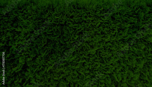 Watercolor Texture Background in Light Pastel Shades of Violet, Blue, and Green