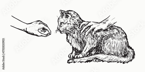 Cat getting a pill from human hand, side view, doodle black ink drawing, woodcut vector