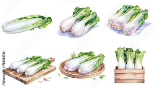Fresh Bok Choy Collection A Variety of Green Leafy Vegetables and Cabbage in Watercolor