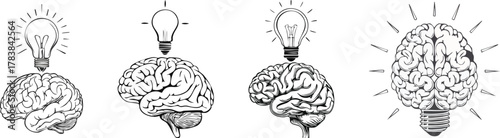 Creative brain and glowing light bulb line art representing innovation, ideas, and human intelligence concept