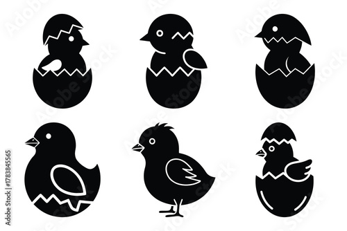 chick hatching icon set silhouette on white background