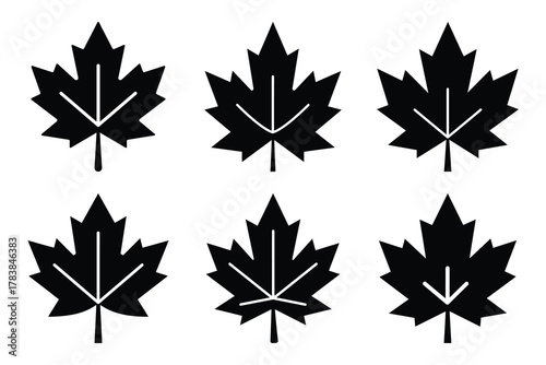 maple leaf icon set silhouette on white background
