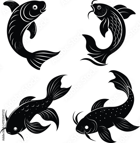  elegant-koi-fish vector-illustration-graphic
