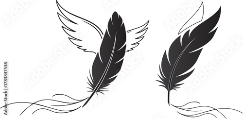 Illustration of two black feathers with wing isolated on white background