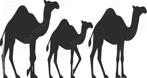 Dromedary camel silhouettes collection, desert wildlife vector illustration, single hump camels standing side by side, animal growth comparison design elements