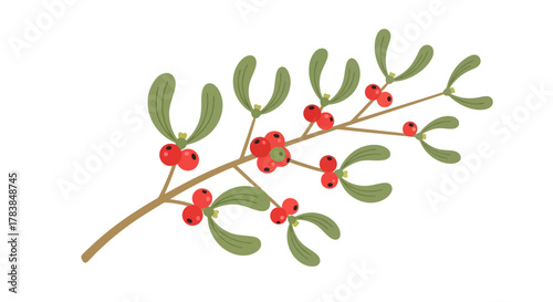 Christmas Mistletoe Branch with Red Berries and Green Leaves Festive Holiday Decoration Illustration