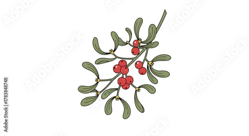 Vector Illustration of Mistletoe Branch with Red Berries and Green Leaves on White Background Traditional Christmas Symbol for Holidays and Romance
