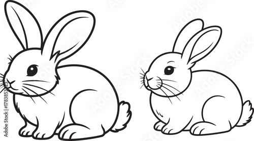 Two adorable hand drawn outline illustrations of fluffy rabbits sitting side by side on a white background perfect for easter or spring designs