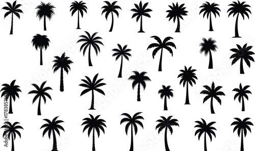 Palm tree silhouettes collection, tropical vector illustration, exotic foliage design elements, black botanical shapes for beach, summer, paradise, island, nature themes