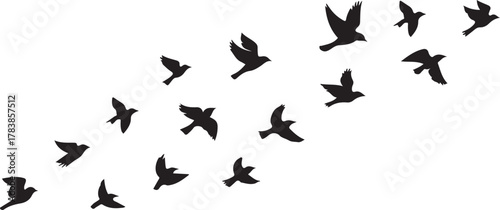 A flock of birds in formation flying across a clean white background