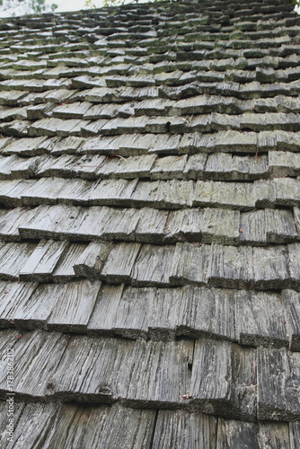 Timber roof slab. Arcachon, Bordeaux, France
