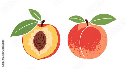 Fresh ripe peach fruit with a leaf and a whole peach shown side by side.