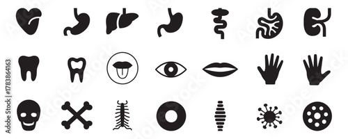 Explore human anatomy with these striking medical icons showcasing organs, bones, and cells for dynamic healthcare visuals and infographics