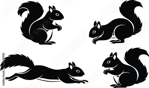 Photos Squirrel silhouettes illustration, black vector design, wildlife animal icons se