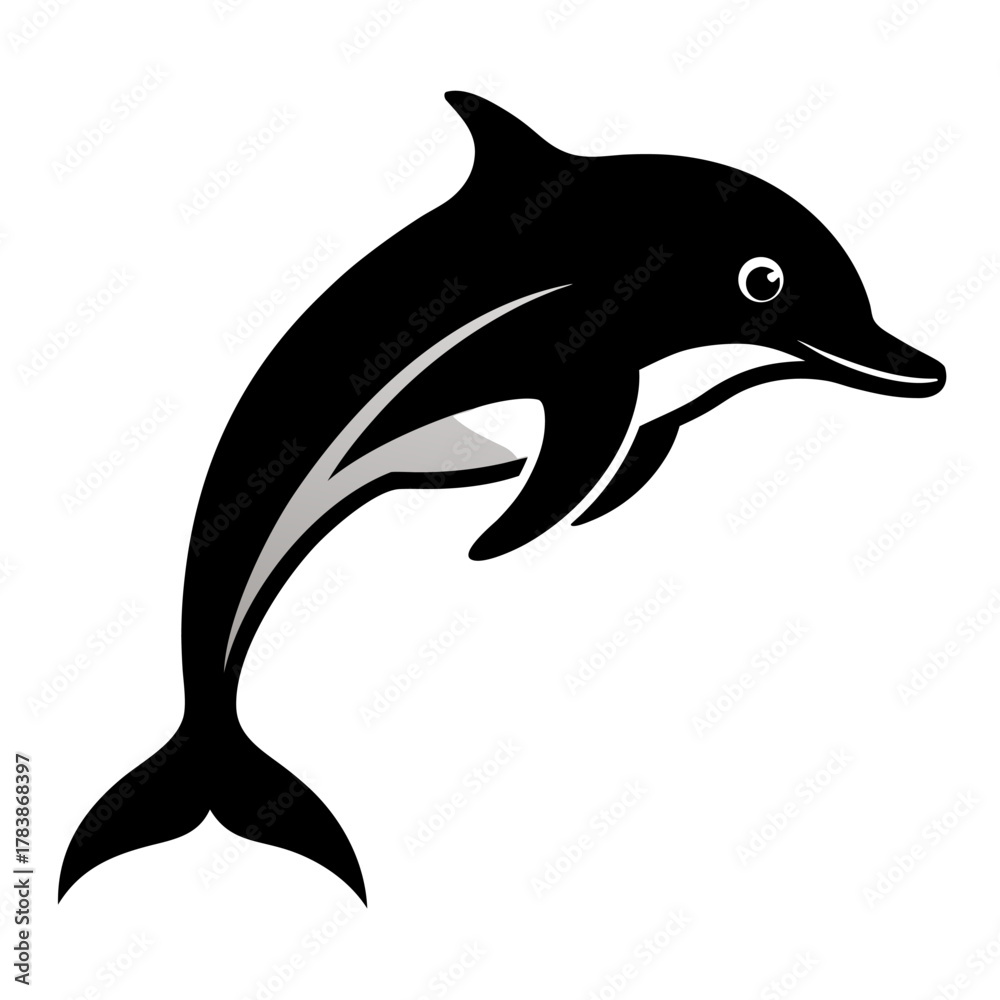 Fototapeta premium dolphin isolated on white