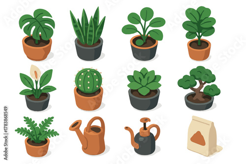 Isometric houseplant collection and gardening tools set for home gardening