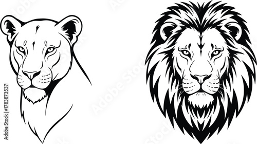 Lion and lioness illustration, stylized black and white vector artwork, bold mane design, gender contrast portrait, stock content for branding, tattoos, education, comics