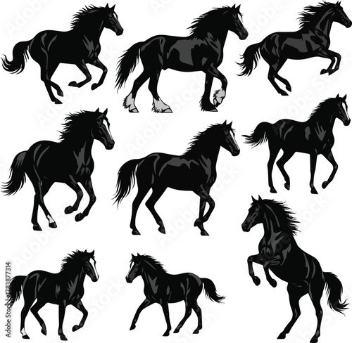  kinds of different horse vector art silhoueette with white background