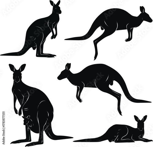 kinds of different kangaroo vector art silhoueette with white background