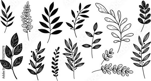 Botanical illustration, black and white leaves, hand drawn foliage, nature sketch, vintage plant art, decorative branches, floral design elements