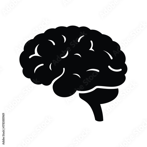 Stylized black and white vector image depicting the human brain anatomy