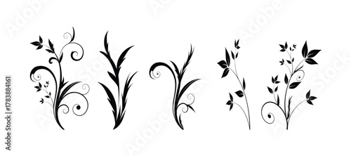 Set of detailed various flowers and foliage, intricate details and delicate forms. Hand drawn vector illustration with elegant botanical elements for invitation, save the date card vector illustration