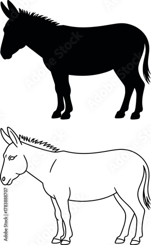 A silhouette and line drawing of a donkey are displayed against a white background.