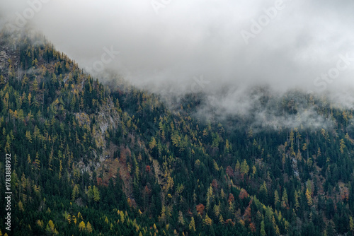 Autumn landscape near Berchtesgarden in Southern Germany with fog. Autumn forest with fog and the view of fail foliage