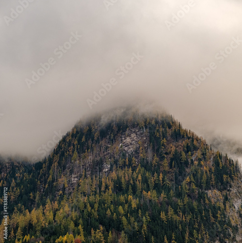 Autumn landscape near Berchtesgarden in Southern Germany with fog. Autumn forest with fog and the view of fail foliage