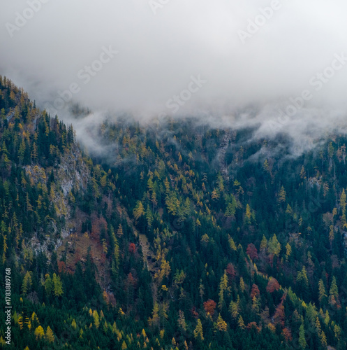 Autumn landscape near Berchtesgarden in Southern Germany with fog. Autumn forest with fog and the view of fail foliage